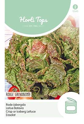 Zaden IJssla Rouge Grenobloise Hortitops - Hortitops