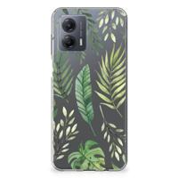 Motorola Moto G53 | TPU Case | Leaves - thumbnail