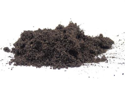 Waterlelie aarde Waterlelie aarde