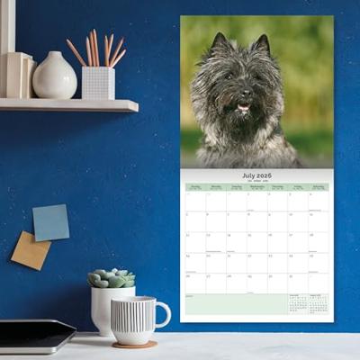 Cairn Terrier Kalender 2026