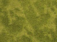 NOCH 07471 Plantvezelmat Natur+ Riedwiese - thumbnail