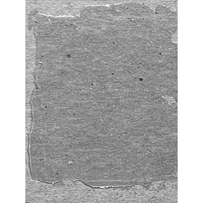 Ranger Ink Ranger • tim holtz distress texture paste translucent