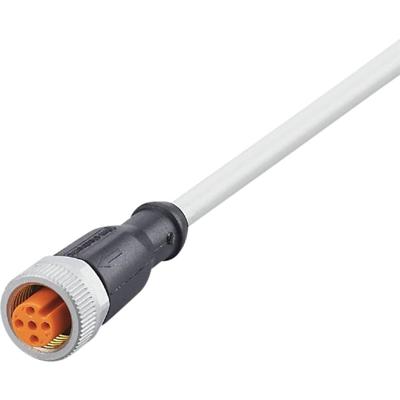 ifm Electronic EVW167 Aansluitkabel Aantal polen (sensoren): 5 Bus, recht 2 m 1 stuk(s)