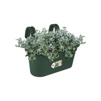 Elho Green Basics Balkonbak Blad Groen 35cm - thumbnail