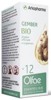Arkopharma Olfae Gember Nr 12 - thumbnail