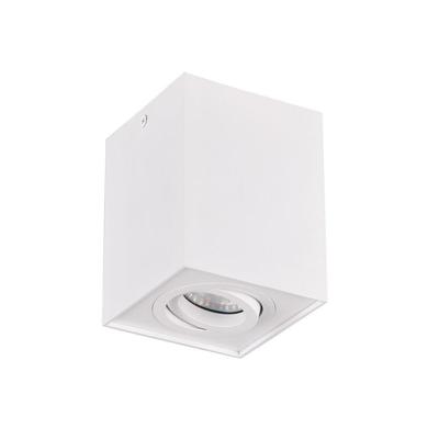 Trio Biscuit - 613000131