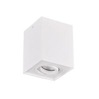 Trio Biscuit - 613000131 - thumbnail