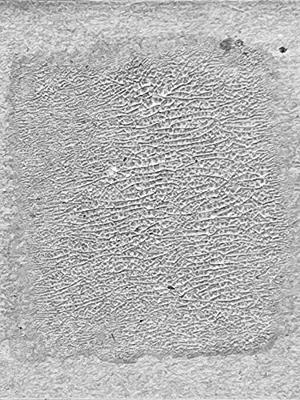 Ranger Ink Ranger • tim holtz distress crackle paint translucent