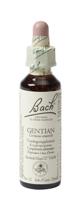 Bach Flower Remedies Gentiaan 12 - thumbnail