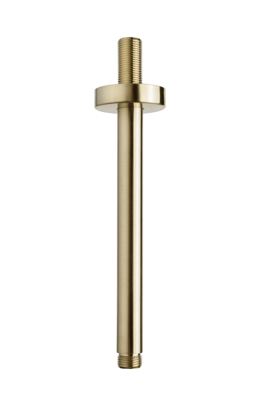 Wiesbaden Luxe Douche-Arm Rond Plafondbevestiging 20 cm Geborsteld Messing