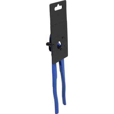 Brilliant Tools BT064900 BT064900 Waterpomptang 250 mm