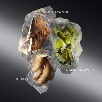 Issey Miyake Le Sel D'Issey Shower Gel for Men 200ml