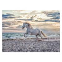 Ravensburger Legpuzzel paard op het strand, 500st. - thumbnail