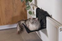 Beeztees Radiatorhangmat Sleepy Zwart - thumbnail