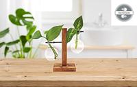 Houten Stekjesvaas - 2 Glaasjes - thumbnail