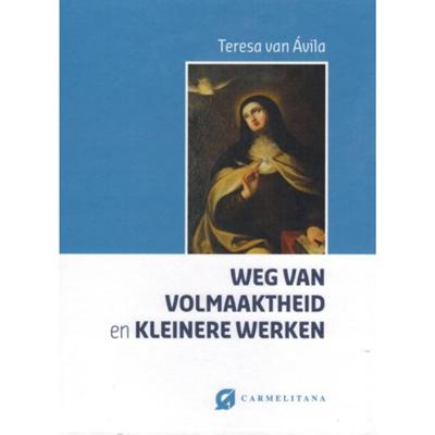 Weg van volmaaktheid en kleinere werken - Teresa van Avila - Hardcover (9789076671918)