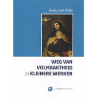 Weg van volmaaktheid en kleinere werken - Teresa van Avila - Hardcover (9789076671918) - thumbnail