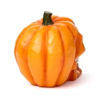 Pompoen Schedel - thumbnail