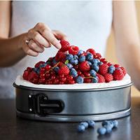 POINT-VIRGULE - Springvorm 28cm - thumbnail