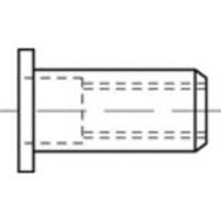 TOOLCRAFT TO-5455170 Popmoer M10 100 stuk(s) - thumbnail