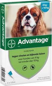 Advantage Hond 100 Advantage Hond 100