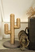 Designed by Lotte Houten Krabpaal Cactus, 35x35x60 cm - thumbnail