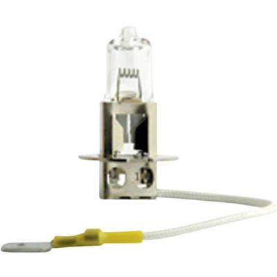 Philips Automotive 53277728 Halogeenlamp MasterDuty Blue Vision H7 70 W 24 V