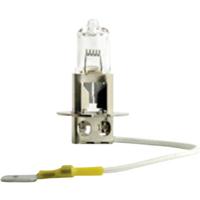 Philips Automotive 53277728 Halogeenlamp MasterDuty Blue Vision H7 70 W 24 V - thumbnail