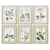 Schilderij Home ESPRIT Wit Groen Shabby Chic Botanische planten 30 x 2,5 x 40 cm (6 Stuks) - thumbnail