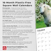 Horse Lovers Kalender 2026 - thumbnail