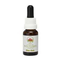 Australian Bush She oak 15 Milliliter - thumbnail