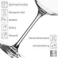 Leonardo Witte Wijnglazen / Riesling Wijnglazen Puccini - 400 ml - 6 stuks - thumbnail