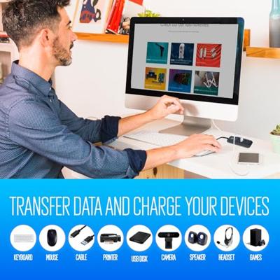 Hub USB 4 Poorten Ewent EW1138 Zwart