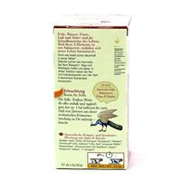 Shoti Maa Thee Joyful Silence - thumbnail