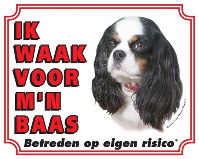 Cavalier King Charles Spaniel Waakbord - Tricolour