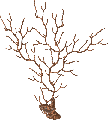 Serip - Sea Fan wandlamp