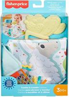 Fisher-Price knuffeldoek met bijtring Cactus 13 cm - thumbnail