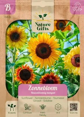 Zonnebloem reuzenbloemig mengsel 30st