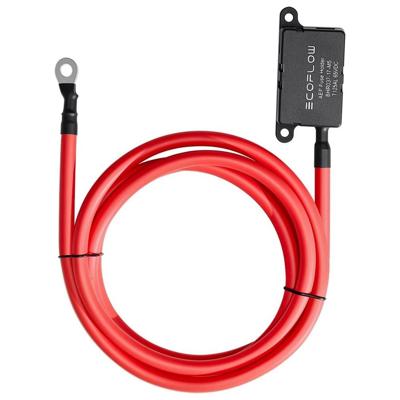 Ecoflow EFL-ALTCHARGERFUSECABLE-2M Smart home accessoire