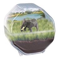 CLEMENTONI - Mini-terrarium - Olifant - thumbnail