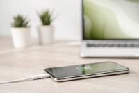 Digitus DB-600109-010-W USB-kabel USB 2.0 USB-C stekker 1.00 m Wit Afgeschermd (dubbel), Met USB, PVC-mantel - thumbnail