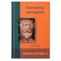 Ontmoeting met engelen (Hardback) - thumbnail
