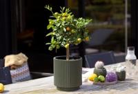 Capi Bloempot Cilinder Groove Groen Ø15cm - thumbnail