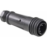 Bulgin PX0921/04/P Ronde connector Stekker, recht Serie (ronde connectoren): PX09 Totaal aantal polen: 4 1 stuk(s) - thumbnail