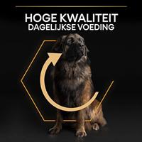 Pro Plan plan dog adult large breed robuust kip - thumbnail