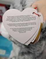 TY beanie boo kiki knuffel 15cm - thumbnail