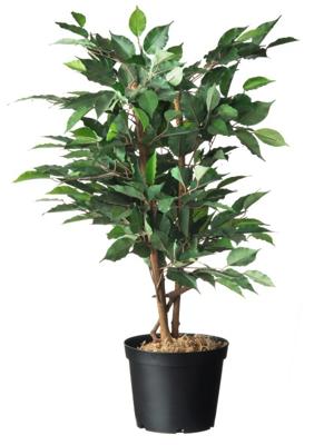 Plantcontainer 5l 2 stuks - Zwart