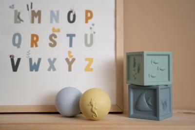 Little Dutch ocean blokken / ballen