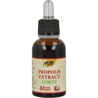 Michel Merlet Propolis Extract Forte - thumbnail