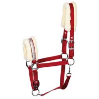 Harry's Horse Halster Lyrics V - thumbnail